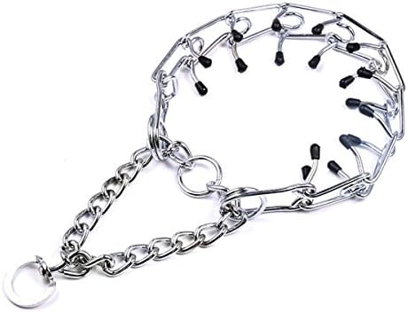 Saiger Gear Chrome Plated Steel Dog Prong Collar (L)
