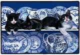 Blue Willow Dishes Black and White Cats Doormat Mat Rug Home Decor