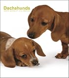 Dachshunds 2009 Hardcover Weekly Engagement Calendar