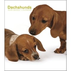 Dachshunds 2009 Hardcover Weekly Engagement Calendar