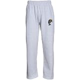 NCAA Florida International Golden Panthers Logo Applique Sweatpants - Ash (Small)