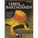 Leben mit Bartagamen Leitfaden für die Haltung von Bartagamen