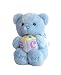 Aurora Plush ABC The Alphabet Song Singing Bear, Blue