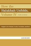 How the Halakhah Unfolds: Hagigah in the Mishnah, Tosefta, Yerushalmi, and Bavli (Studies in Judaism)