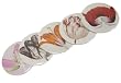 Art Nouveau Botanic Florals Set of 5 Small purse mirrors