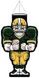 NFL Green Bay Packers Windjock