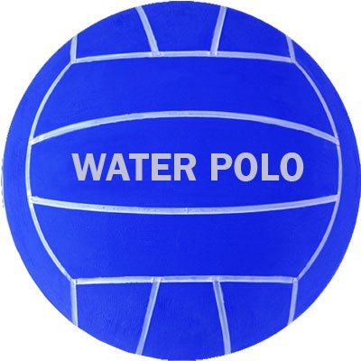 Royal Size 2 Water Polo Ball