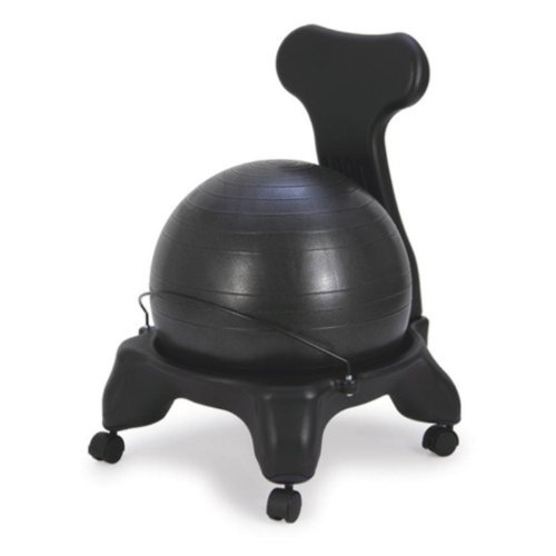 Sivan Health and Fitness Balance Fit Chair