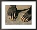 Close-up of the Claws of a Malayan Sun Bear National Geographic Collection Framed Art Poster Print by Roy Toft, 22x18