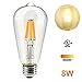 Leadleds FLA8TD LED Bulb Dimmable Healthy Edison Light with Medium Screw E26 Base, ST19 8 Watt 80 Watt Incandescent Bulb Replacement 2700K Neat Warm White