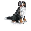Schleich 16316  - Bauernhof, Berner Sennenhund