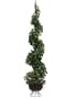 Pack of 2 Artificial Spiral Ivy Topiaries with Finials 5'