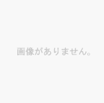 ��PROVIDENCE �M�^�[�E�x�[�X�p�P�[�u�� S102 S/S [BASIC] 0.3m