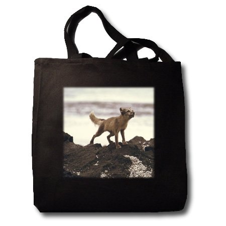 Young Artic Wolf - Black Tote Bag 14w X 14h X 3d