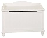 Home Star Jack & Jill Toy Chest