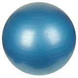 41ELioba%2BBL. SL160  Sunny Health & Fitness Anti Burst Gym Ball, 75 CM