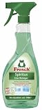 Frosch Spiritus Glasreiniger 500ml