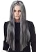 Long Grey Costume Wig