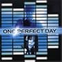 One Perfect Day
