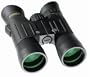 Steiner 8x42 Predator Binocular