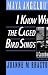 Maya Angelou's I Know Why the Caged Bird Sings: A Casebook (Casebooks in Criticism)