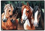 Crazy Horses Western Horse Doormat Rug Mat Home Decor