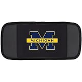 CD Visor - Michigan