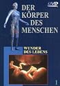 Der Körper des Menschen (10 DVDs)