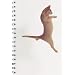 Dancing with Cats Solo Cat Journal