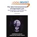 The Internationalisation of Copyright Law: Books, Buccaneers and the Black Flag in the Nineteenth Century (Cambridge Intellectual Property and Information Law)