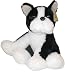 boston terrier - Plush Beanton Boston Terrier 18