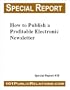 How to Publish a Profitable Electronic Newsletter