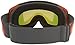 Dragon Alliance Rogue Snow Goggles