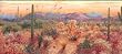 Rust Sonoran Sunrise Wallpaper Border