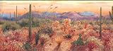Rust Sonoran Sunrise Wallpaper Border