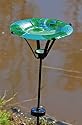 Frog on Lily Pad Glass Birdbath with Solar Stake