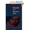 Biography of a Runaway Slave