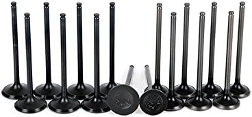 Dokuro 92-01 Acura Integra Honda Civic Civic Del Sol 1.6 1.7 1.8 DOHC B16A2 B17A1 B18C1 Intake Exhaust Valves Set