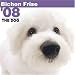 THE DOG Artlist - Bichon Frise 2008 Calendar