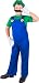 Child's Luigi Mario Brothers Costume (Large 12-14)