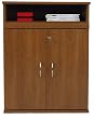 Door Cabinet with Pull Out Shelf