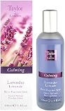 Lavender ( Lavande ) by Taylor of London