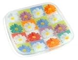 Peggy Karr 12-Inch Glass Daisy Squares Square Plate