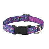 Lupine Flutterby 1/2 Inch Small Dog Adjustable Collar (10-16 in.)