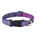 Lupine Flutterby 1/2 Inch Small Dog Adjustable Collar (10-16 in.)