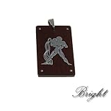 316L Stainless Steel Pendant - Aquarius