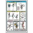 Fitnus Chart -Squat Workout 23"x35", Accessories, Weight Lifting AC-MSCHRTSQ