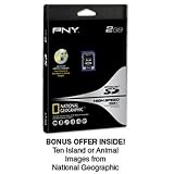 PNY 2 GB Optima Pro Secure Digital High Speed 133X )P-SD2GB-133W-DVDC)