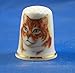 Porcelain China Thimble -- Marmalade Cat