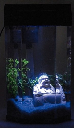 http://ecx.images-amazon.com/images/I/41ENDvvCWyL.jpg